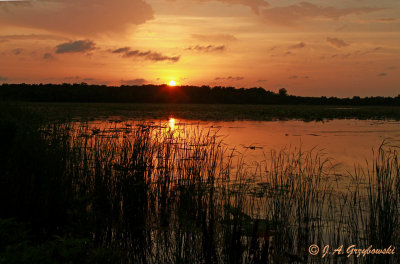 sunset at Red Slough