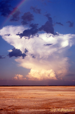 Thunderstorm over Salt Plains, OK