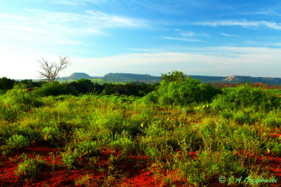 view in Blaine County, Oklahoma