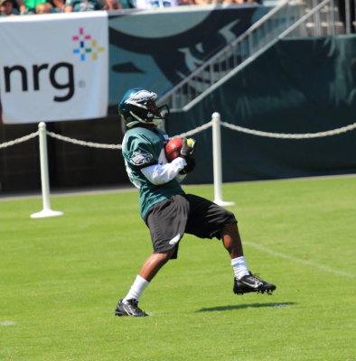 082613_Eagles2013_0045.JPG