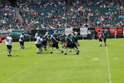 082613_Eagles2013_0073.JPG