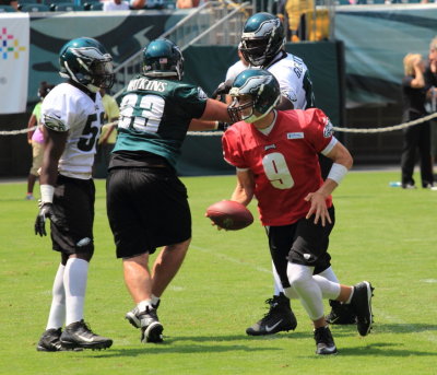 082613_Eagles2013_0079.JPG