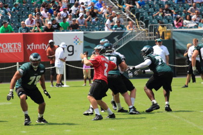 082613_Eagles2013_0082.JPG