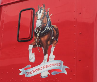 083113_Clydesdales_0007.JPG