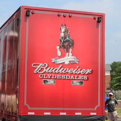 Budweiser Clydesdales in New Hope 2013