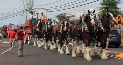 083113_Clydesdales_0016.JPG