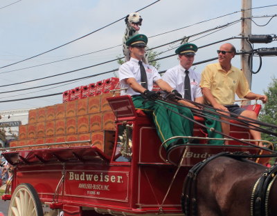 083113_Clydesdales_0021.JPG