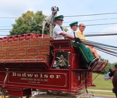 083113_Clydesdales_0024.JPG