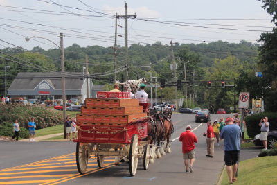083113_Clydesdales_0028.JPG