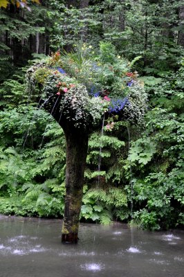 Glacier Gardens