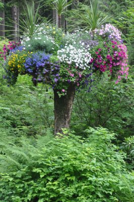 Glacier Gardens