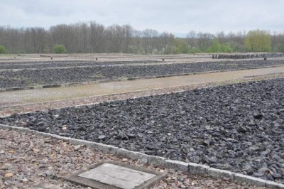 Buchenwald -011.JPG