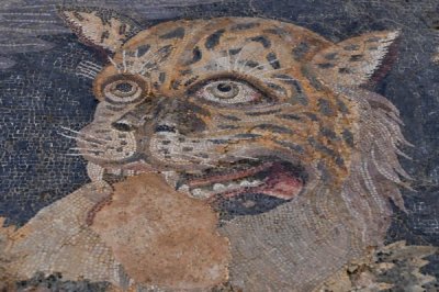 Panther mosaic, Delos
