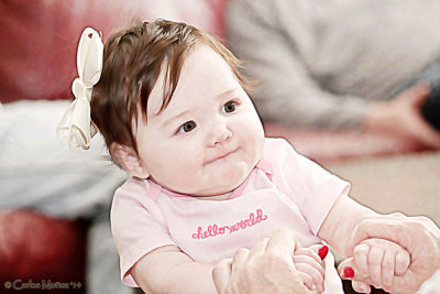 IMG_2741aWC3-pb.jpg