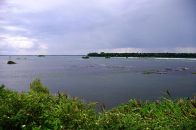 Lachine Rapids from Rapids Park (2).jpg