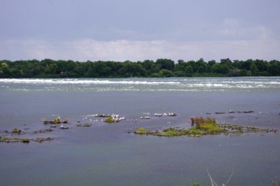 Lachine Rapids from Rapids Park (3).jpg