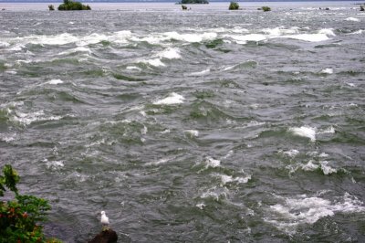 Lachine Rapids from Rapids Park (9).jpg