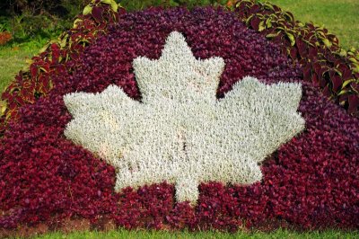 Flower Mural of Canadian Maple Leaf - Citadelle of Quebec.jpg