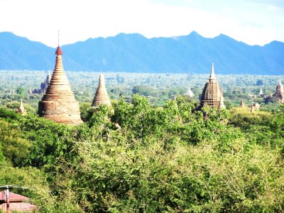 Bagan Plain from Shwegugyi Temple.jpg