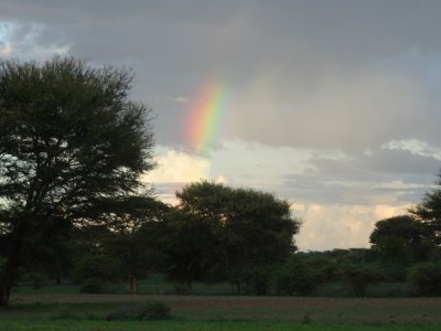 Farmfield Rainbow - Northeast of Dhammayan Gyi Temple.jpg