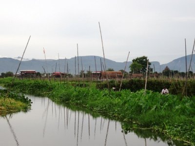 Inle Floating Gardens (1).jpg