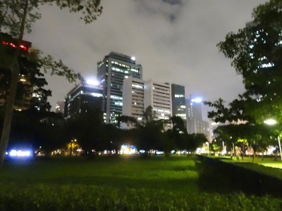 Makati Skyline - Ayala Triangle Park (2).jpg