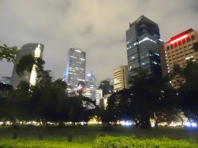 Makati Skyline - Ayala Triangle Park.jpg