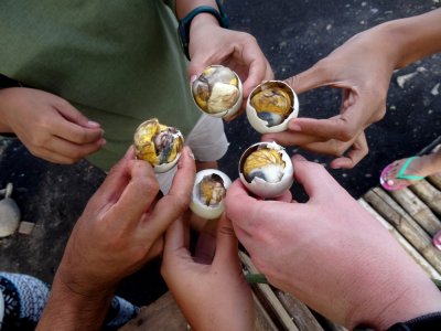 Balut Feast (2).jpg