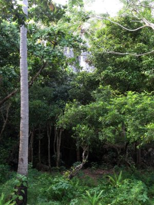 Behind the Scenes - Matukad Island.jpg