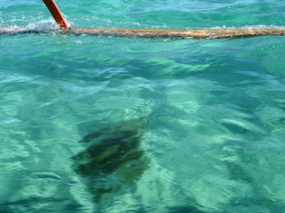 Caramoan Island Clear Waters (2).jpg