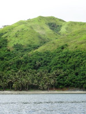 Coastline of Camarines Sur - Lagonoy Gulf (6).jpg