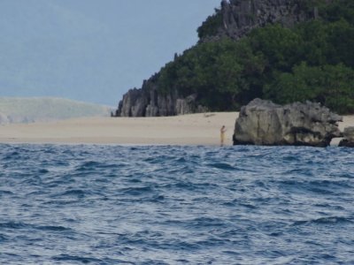 Lajos Island from Matukad Island.jpg