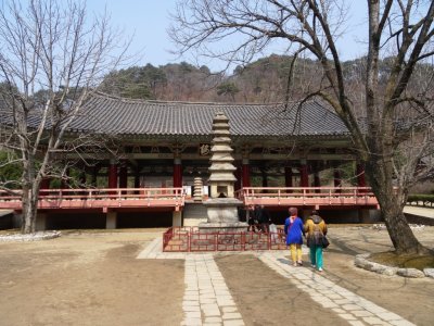 Tabo Pagoda - 1044 - Pohyon Temple - 'Male'.jpg