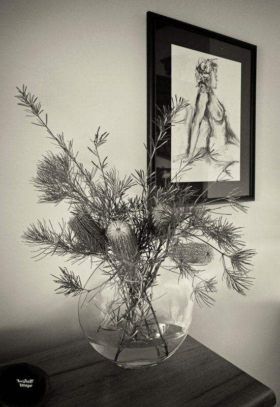 Banksia Et Al