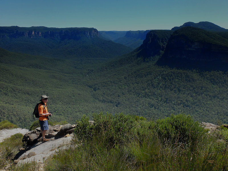 Blue Mountains National Park 1