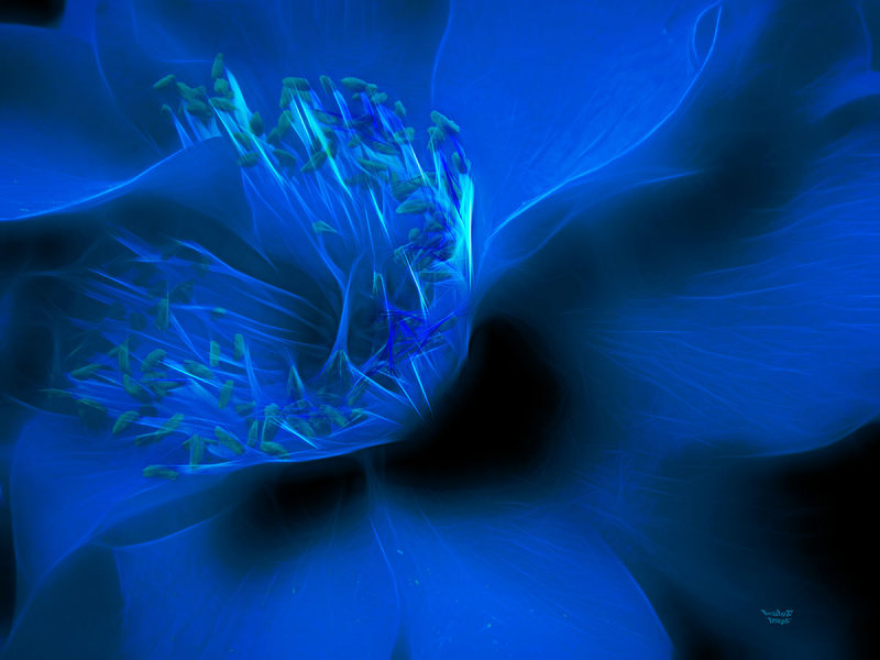 Blue Soul