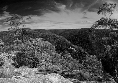 Martins Lookout