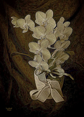 Baroque Orchid