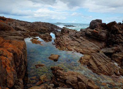 Rocky Shore