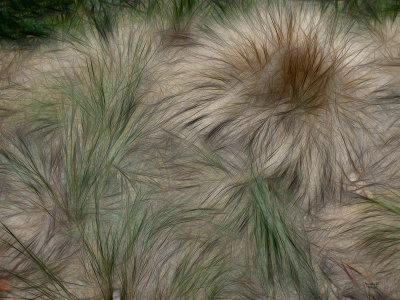 Abstractive Grass
