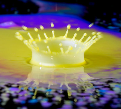 anatomy of a drop.jpg