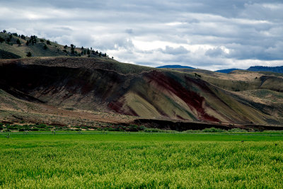 Painted Hills farm Oregon.jpg
