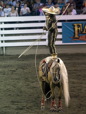 rodeo.jpg