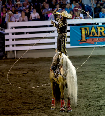 rodeo2.jpg