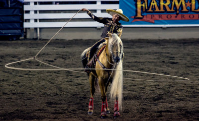 rodeo3.jpg