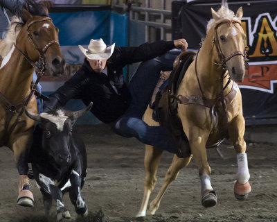 rodeo 1227.jpg