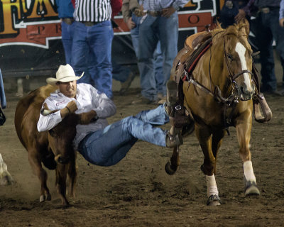 rodeo 1253.jpg
