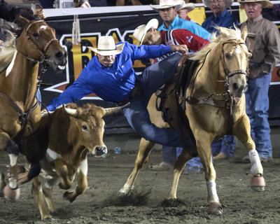 rodeo 1257.jpg