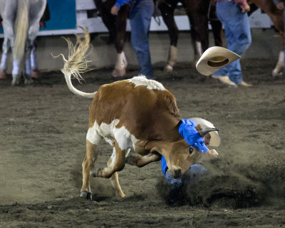 rodeo 1261.jpg