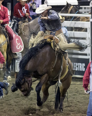 rodeo 1284.jpg